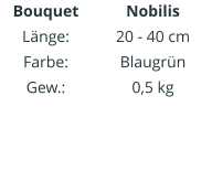 Bouquet Länge: Farbe: Gew.:    Nobilis 20 - 40 cm Blaugrün 0,5 kg